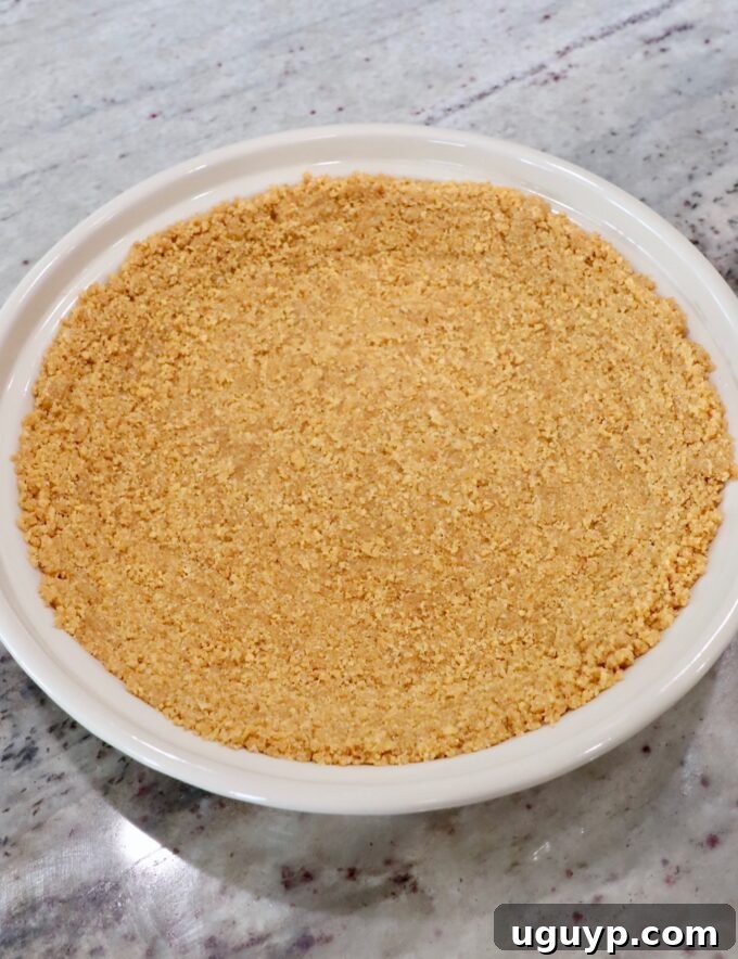 The prepared graham cracker crust pressed firmly into a 9-inch pie plate, ready for baking.