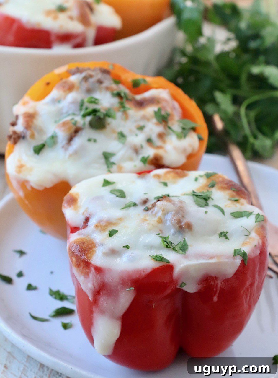 Vibrant stuffed bell peppers on a plate, generously topped with melted mozzarella cheese, ready to be served for dinner.