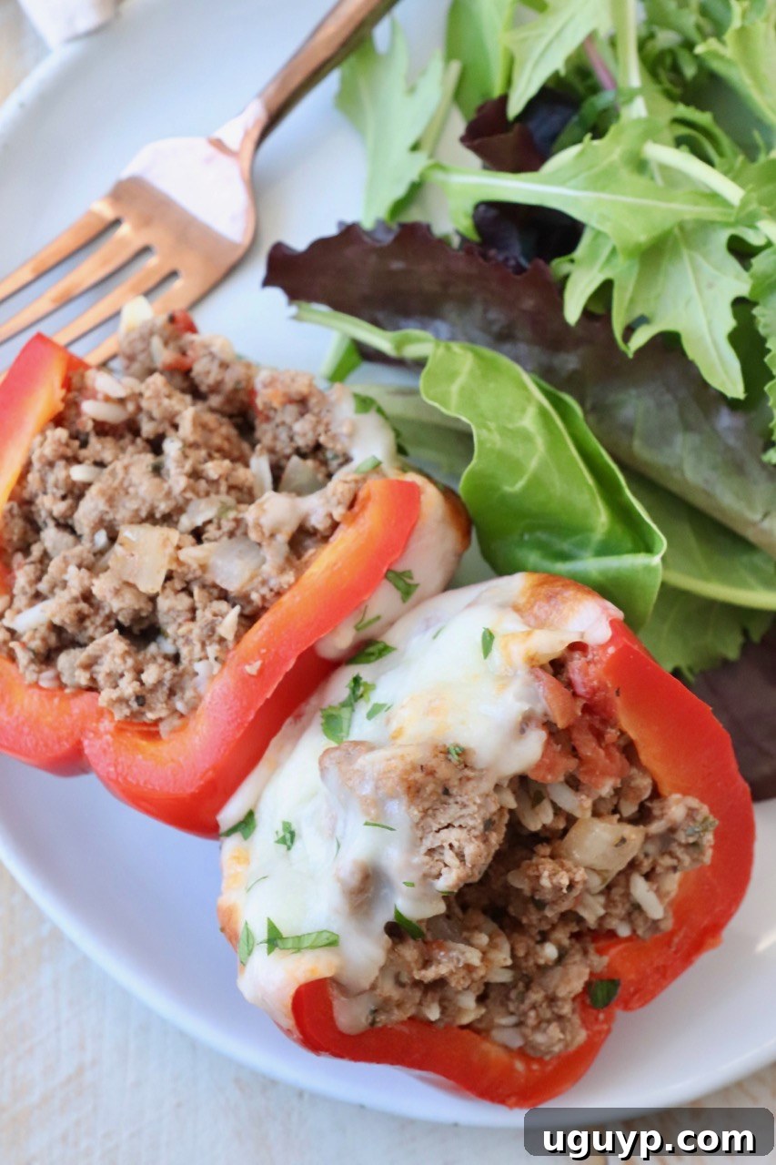 A stuffed bell pepper cut in half, revealing the rich ground beef and rice filling, served on a plate with a fresh green salad as a side.