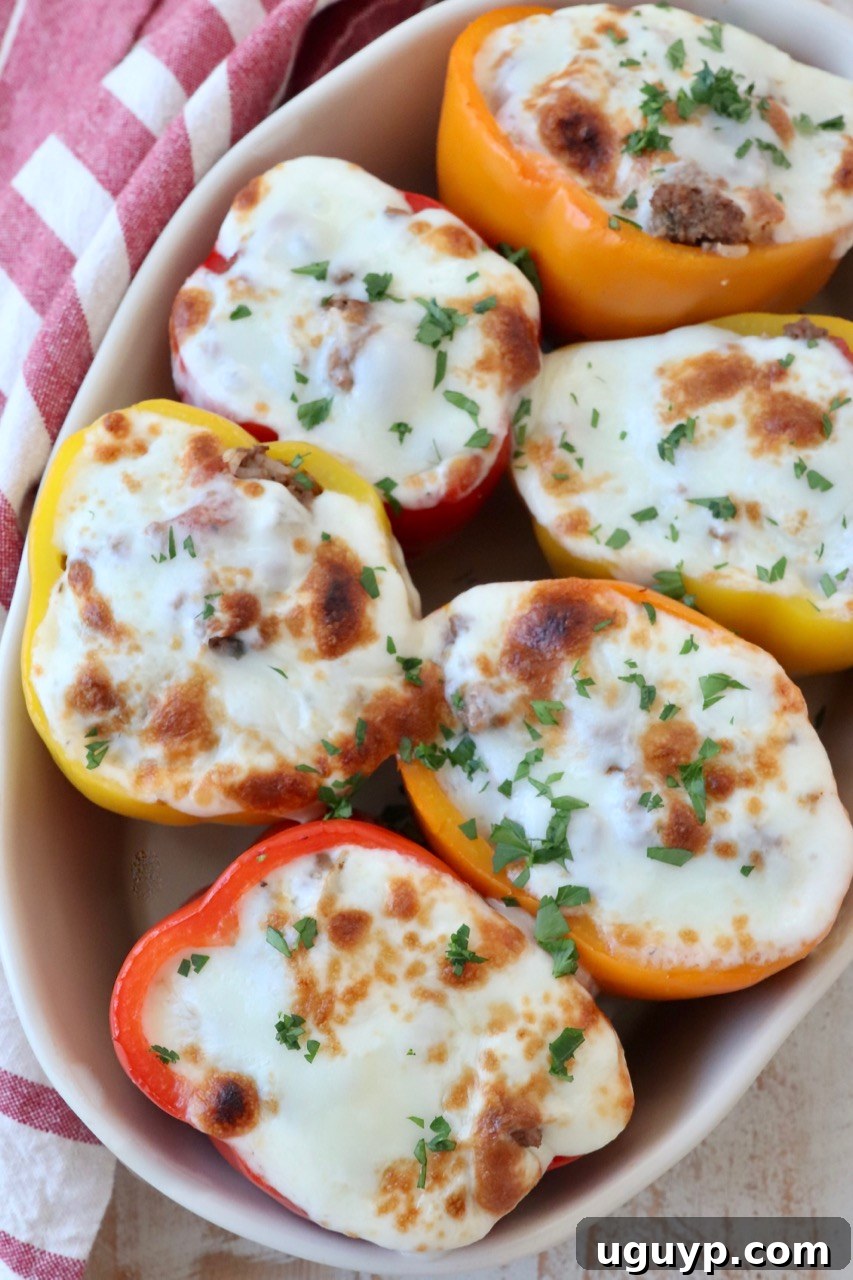 A vibrant casserole dish filled with golden-brown stuffed bell peppers, generously topped with perfectly melted mozzarella cheese, fresh out of the oven.