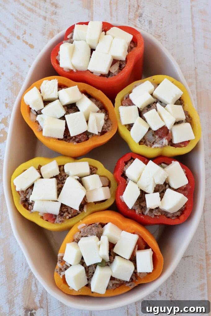 Stuffed bell peppers in a casserole dish, topped with small cubes of fresh mozzarella cheese, ready for broiling.