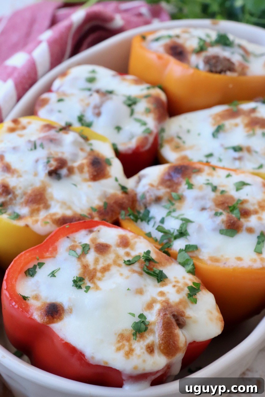 A baking dish filled with cheesy stuffed bell peppers, fresh out of the oven, with the mozzarella perfectly melted and slightly browned.