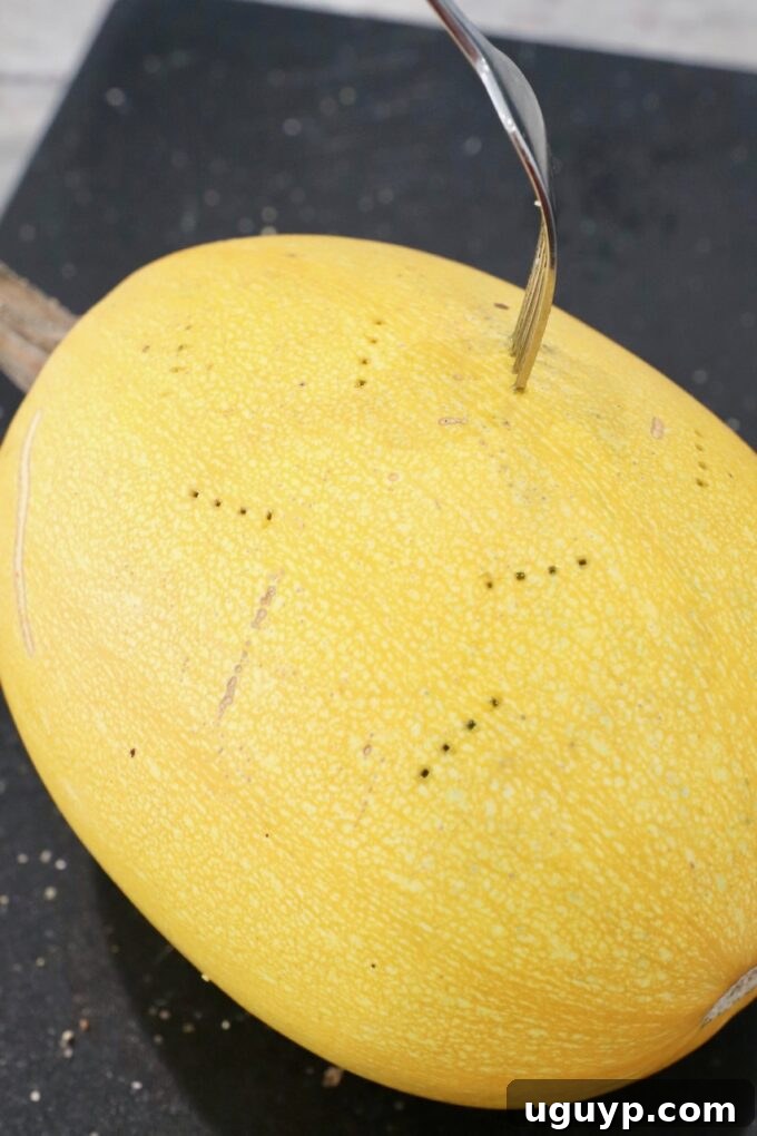 A fork piercing a whole spaghetti squash multiple times to create steam vents before microwaving.