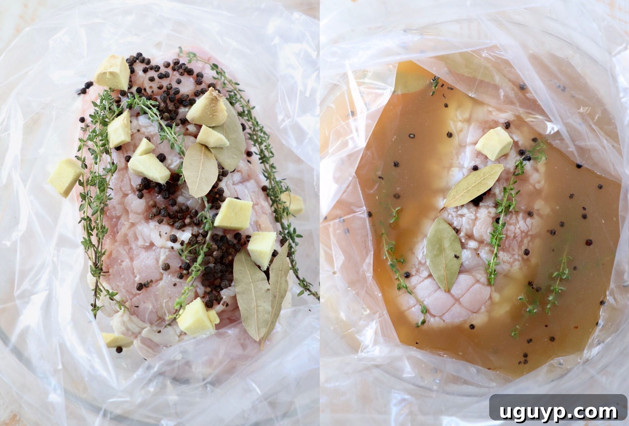 Turkey breast submerged in a white wine brine inside a brining bag