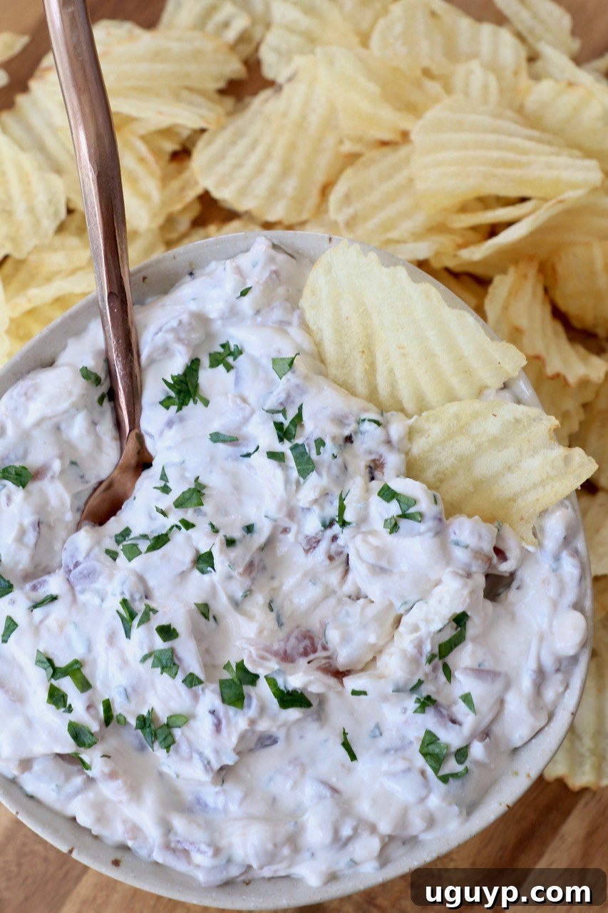a bowl of creamy french onion dip surrounded by ruffles potato chips, highlighting its perfect texture and appeal