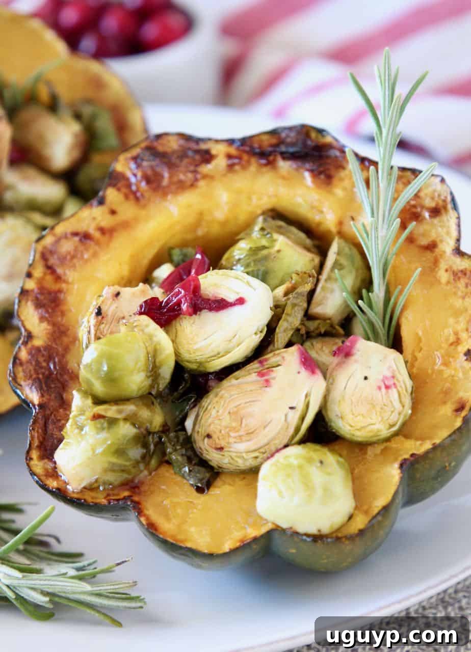stuffed acorn squash half filled with roasted brussels sprouts and cranberries, a festive and hearty dish