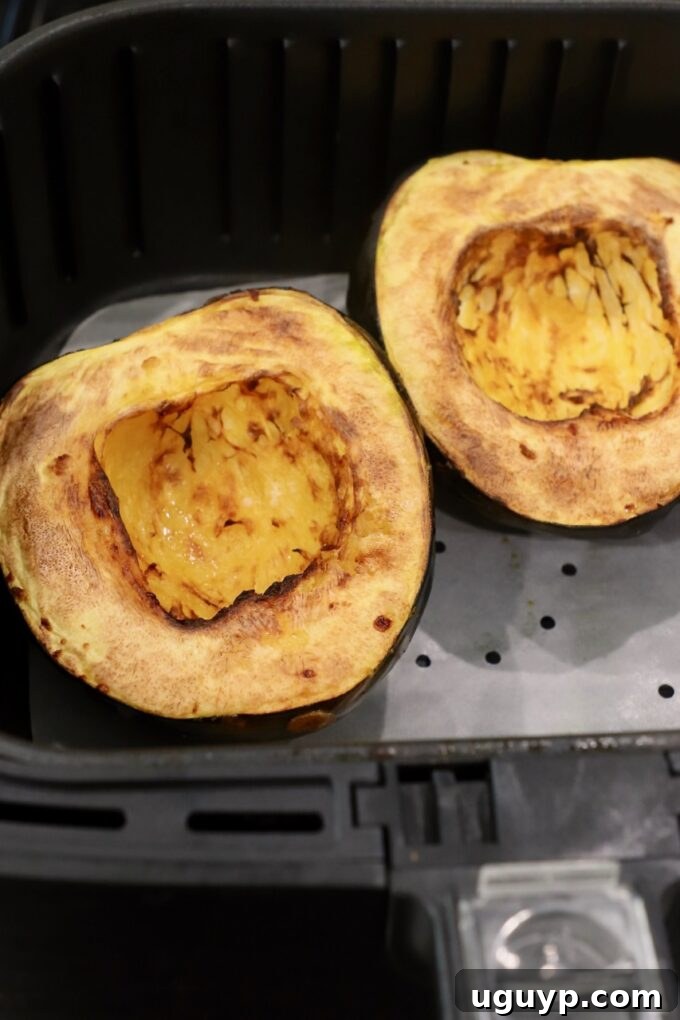 cooked acorn squash cut in half, perfectly tender in an air fryer basket