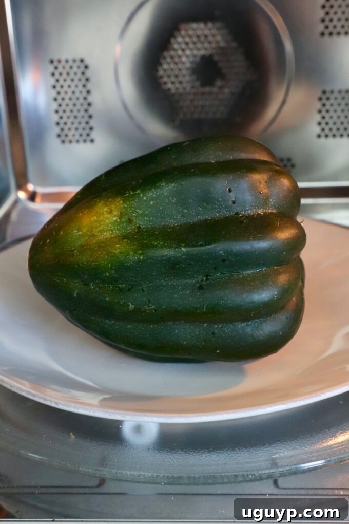 a whole acorn squash placed on a plate inside a microwave, ready to be cooked