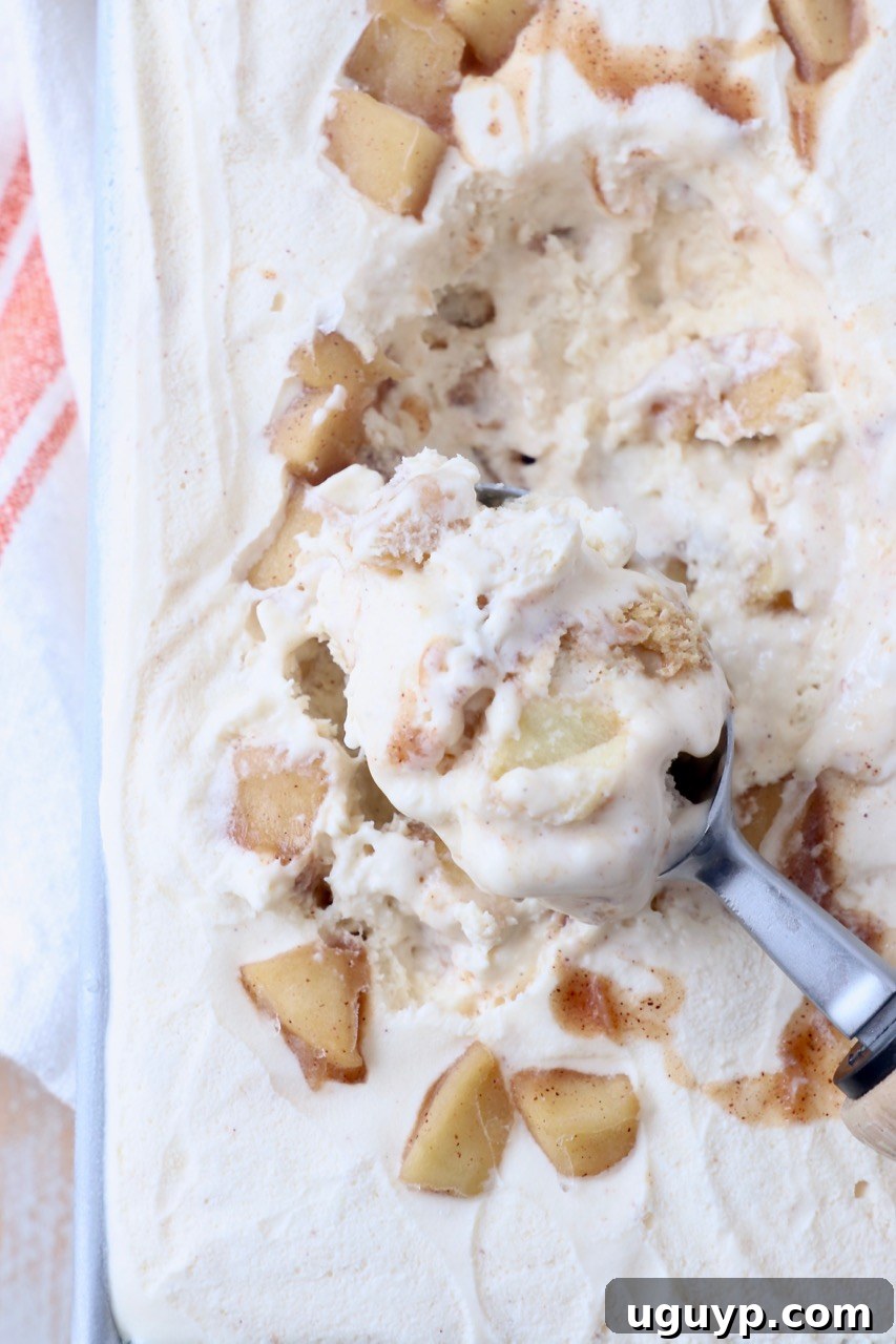 An ice cream scoop digging into a container of perfectly frozen apple pie ice cream, revealing its creamy texture and apple pieces, ready to be served.