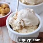 Scoops of creamy apple pie ice cream in a small white bowl with a spoon, ready to be enjoyed as a delightful dessert.