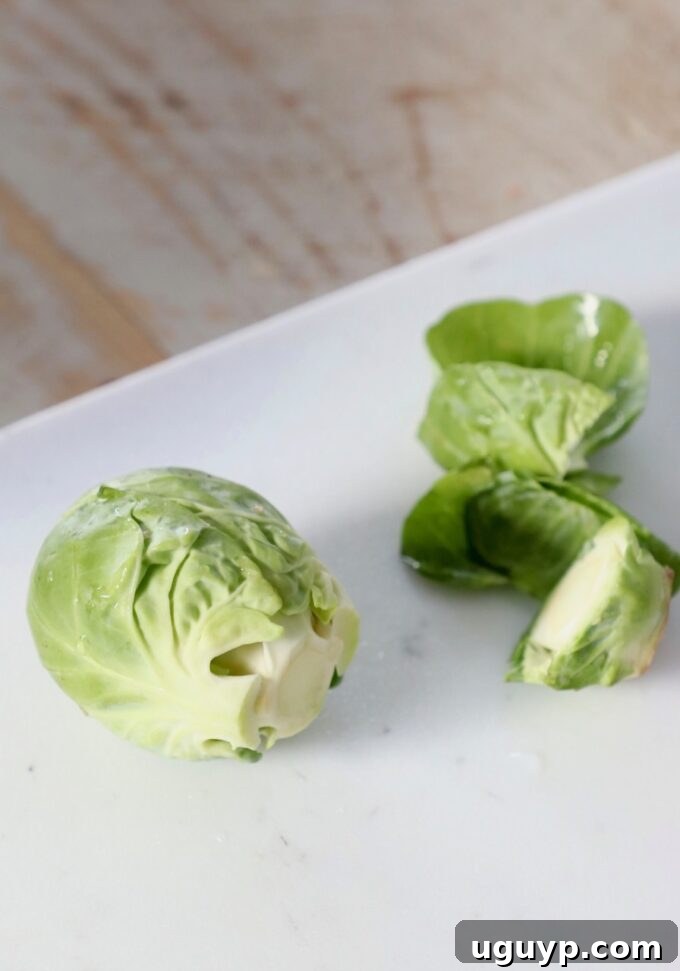 A prepared Brussels sprout sits on a cutting board, its tough stem and outer leaves carefully removed, ready for shredding.