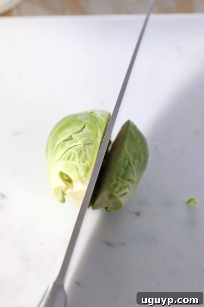A sharp knife precisely halves a Brussels sprout lengthwise on a cutting board, preparing it for fine shredding.