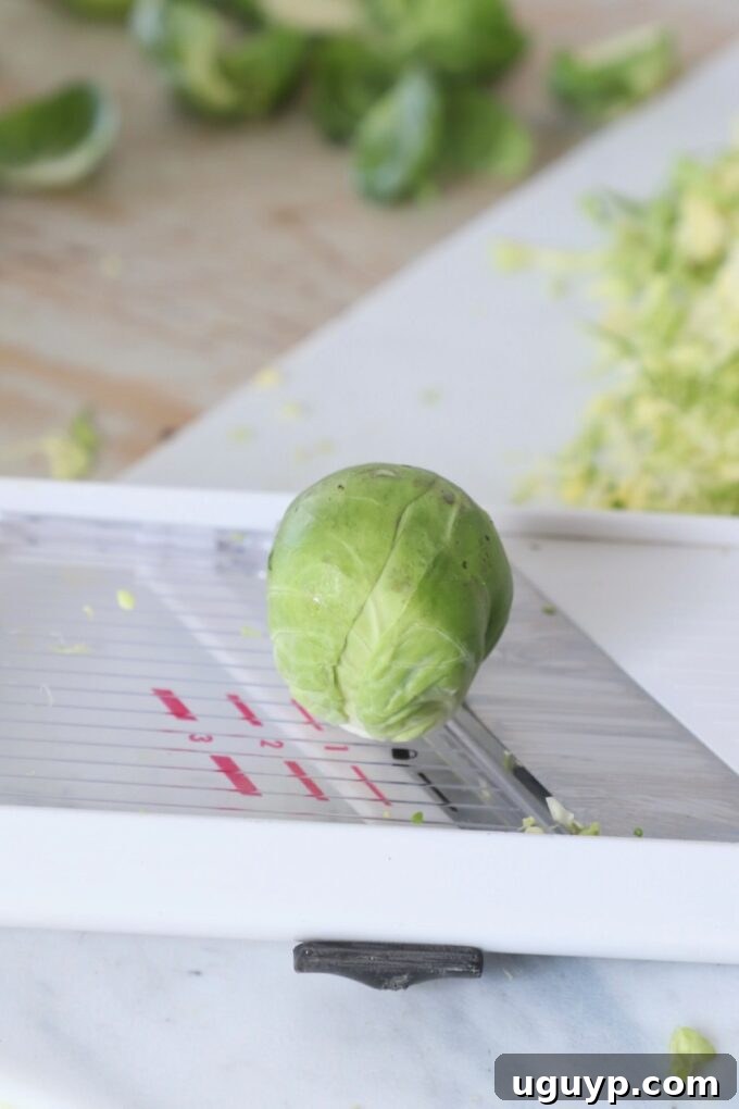 A single Brussels sprout sits ready on the sharp blade of a mandolin slicer, poised for shredding.