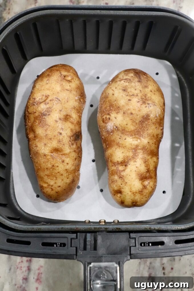 uncooked large russet potatoes in air fryer basket