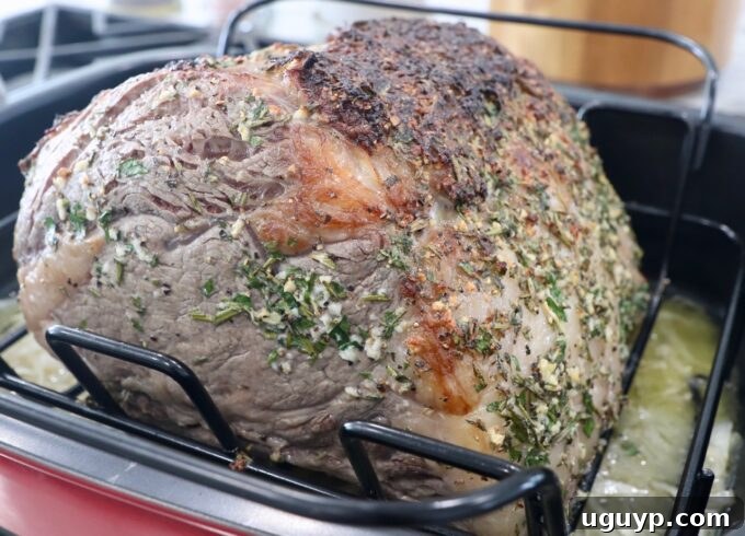 roasted prime rib in roasting pan