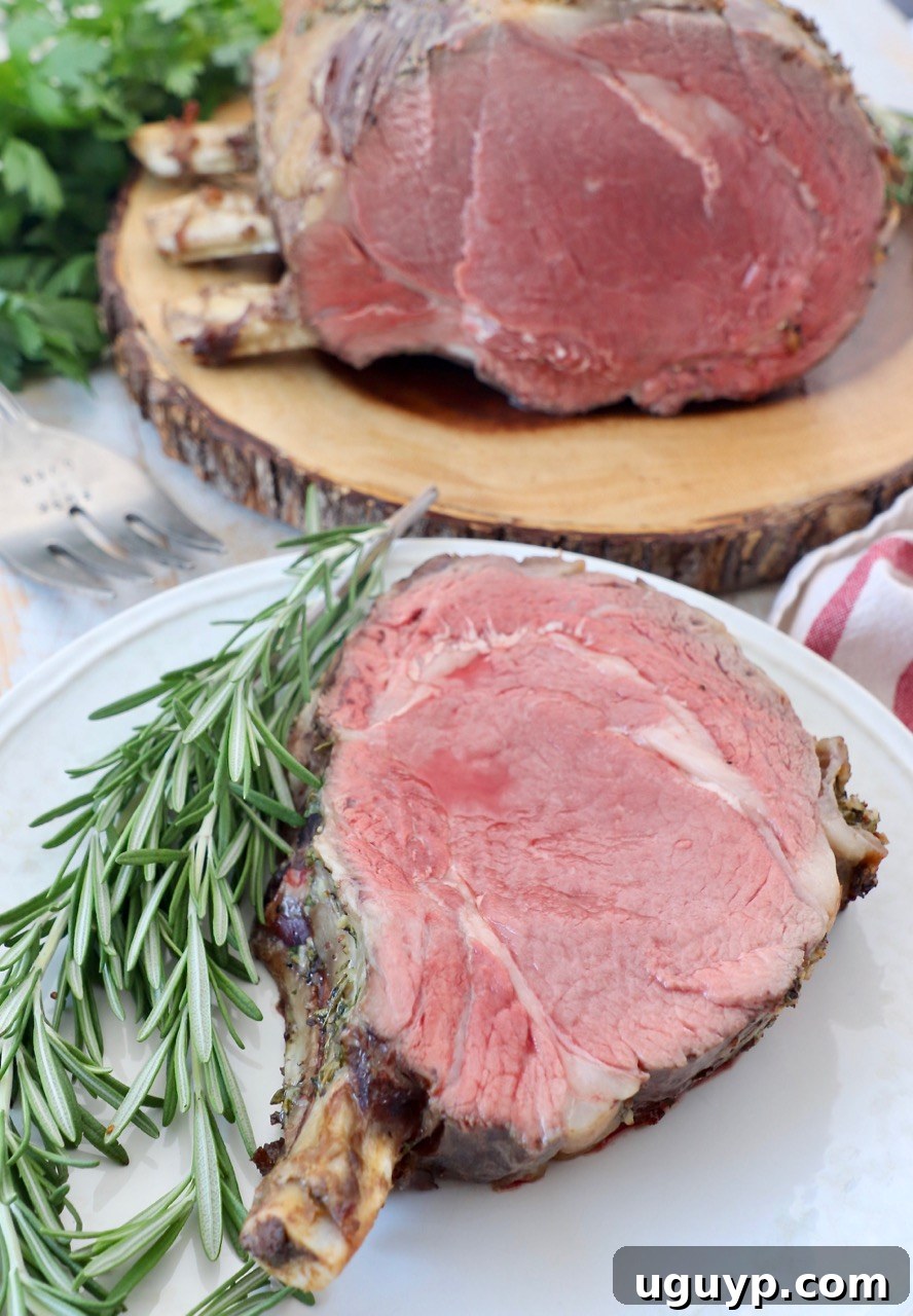 slice of prime rib with the bone on plate with fresh rosemary sprigs