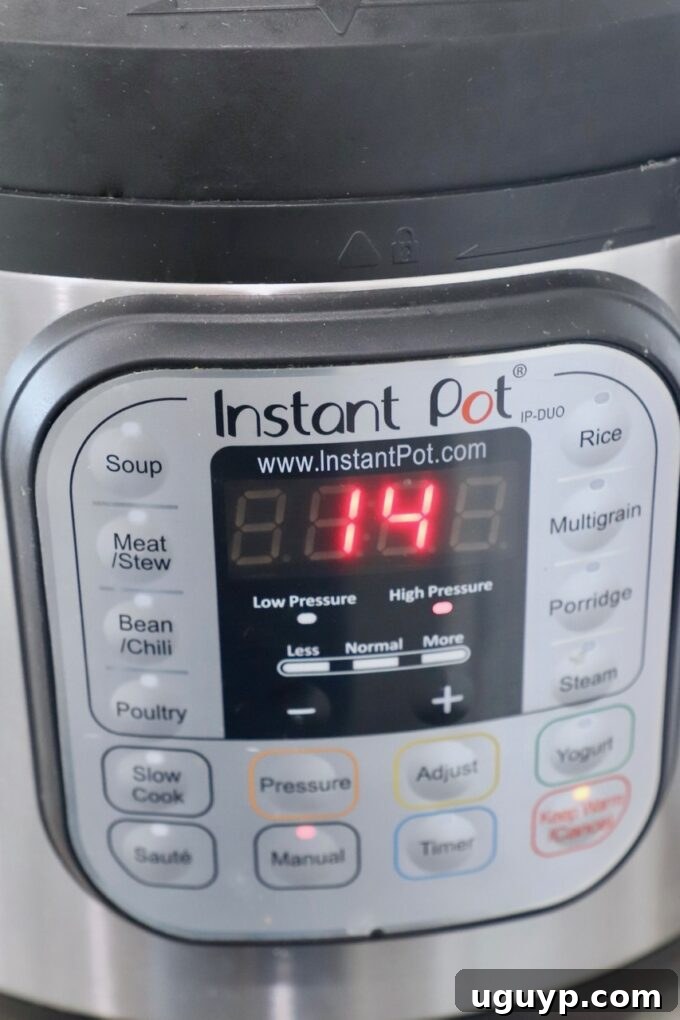 Instant Pot with 14 minutes on the timer