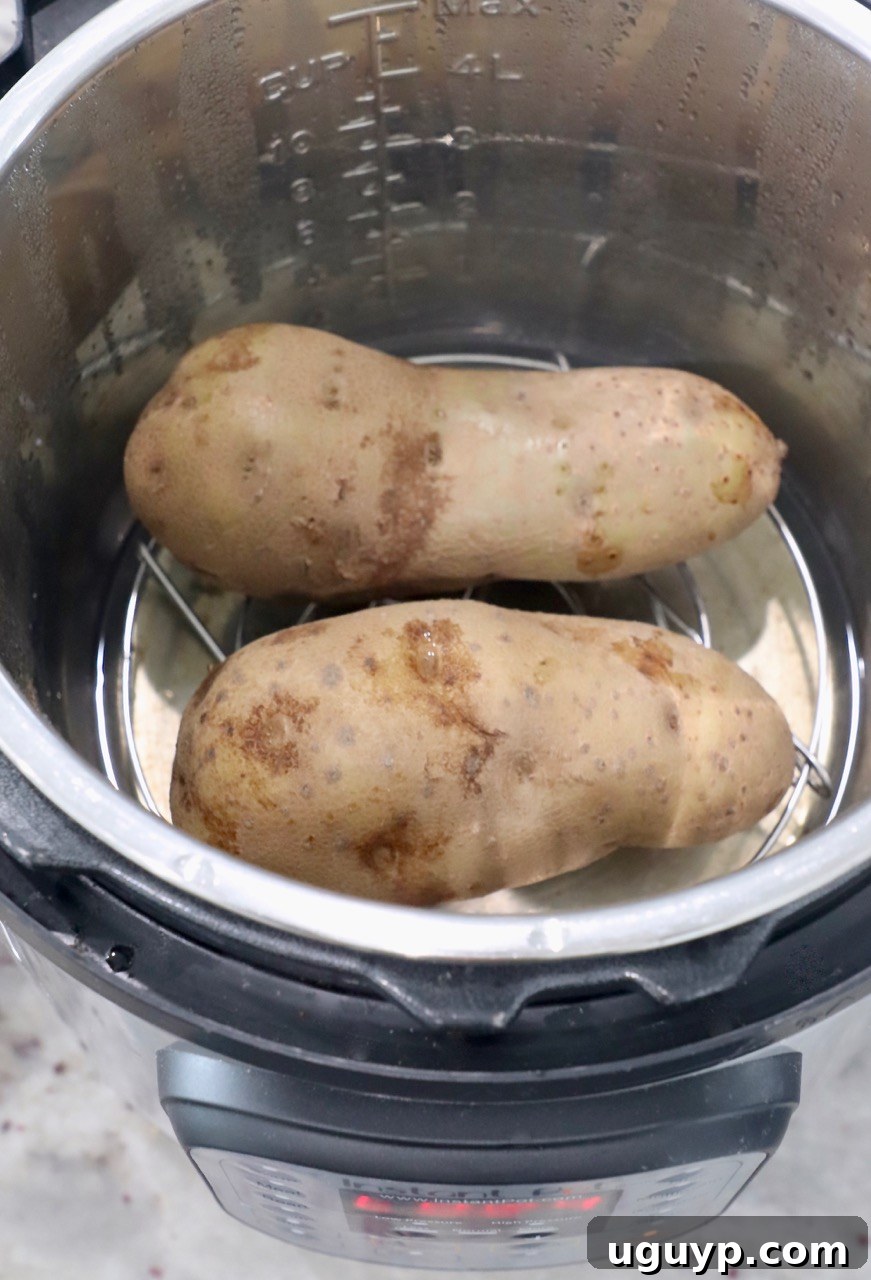 large russet potatoes in Instant Pot