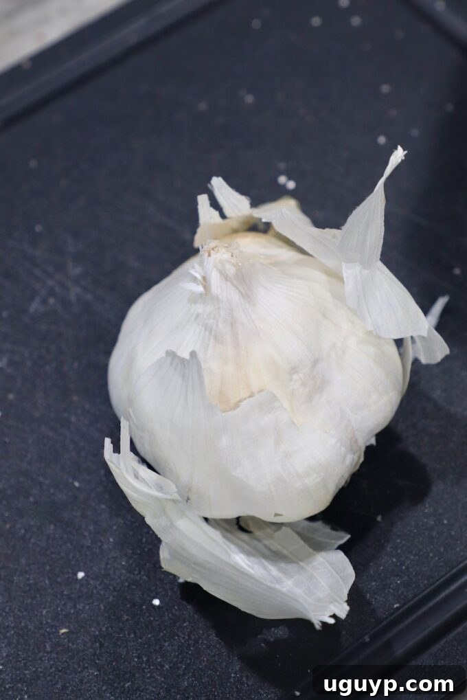 Fresh head of garlic with outer papery layers beginning to peel away.