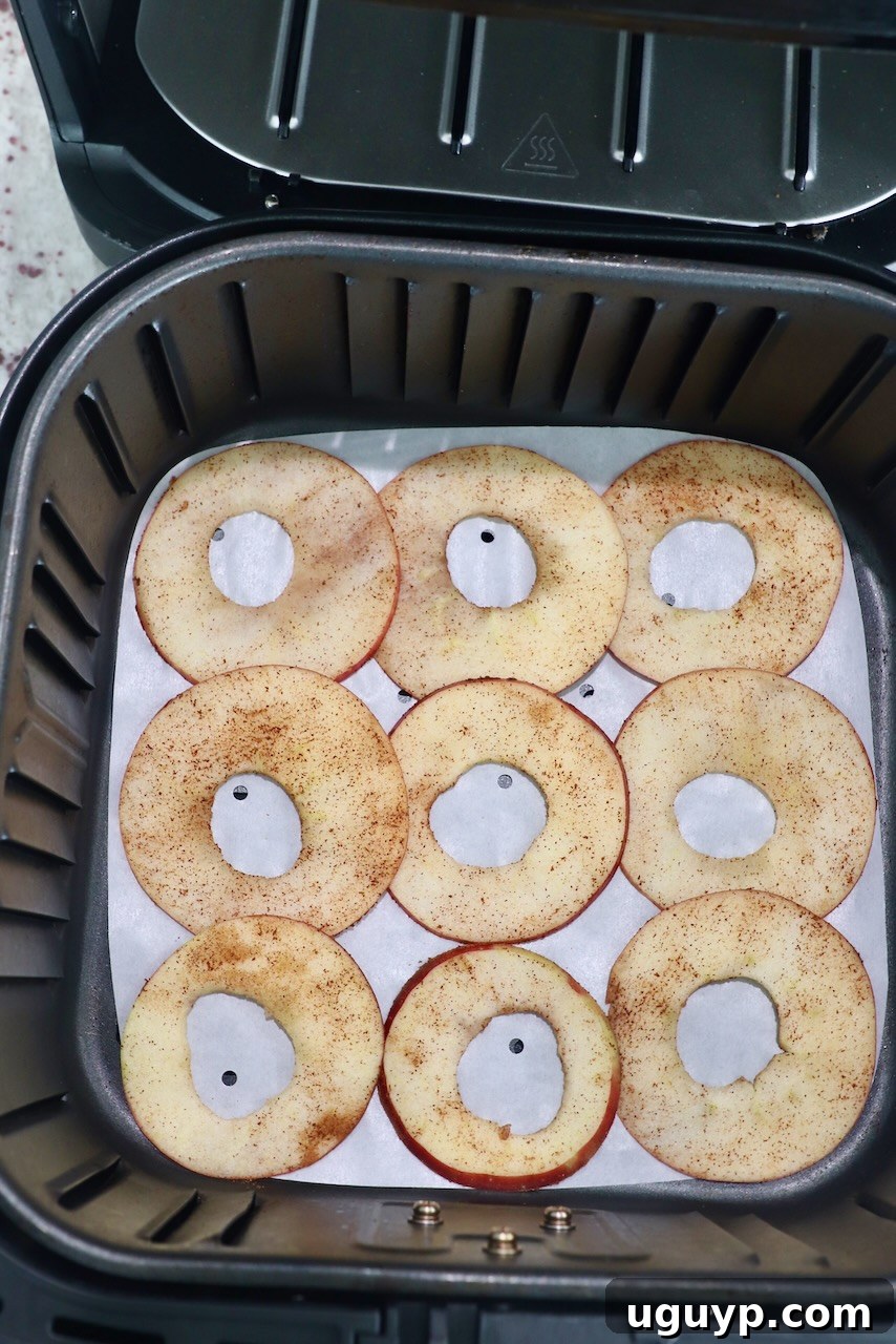 Thinly sliced apple chips arranged in an air fryer basket