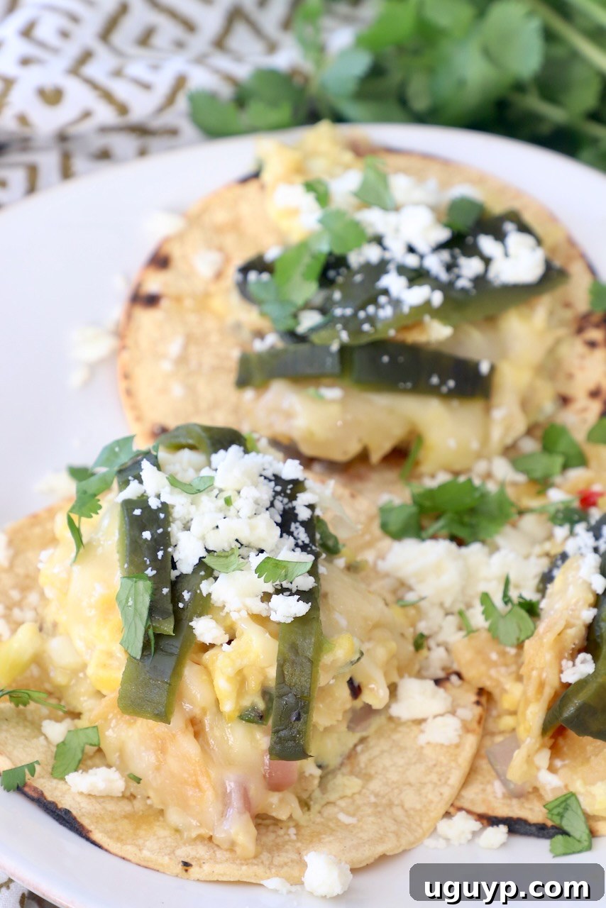 migas tacos on plate topped with roasted poblano peppers