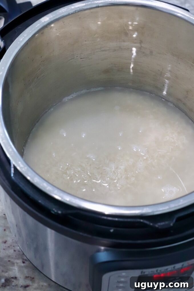rice covered in water in Instant Pot