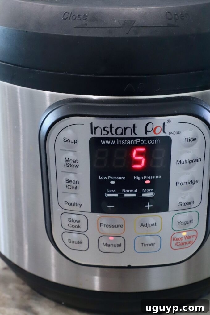 Instant Pot with timer set to 5 minutes