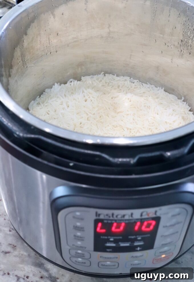 cooked rice in Instant Pot