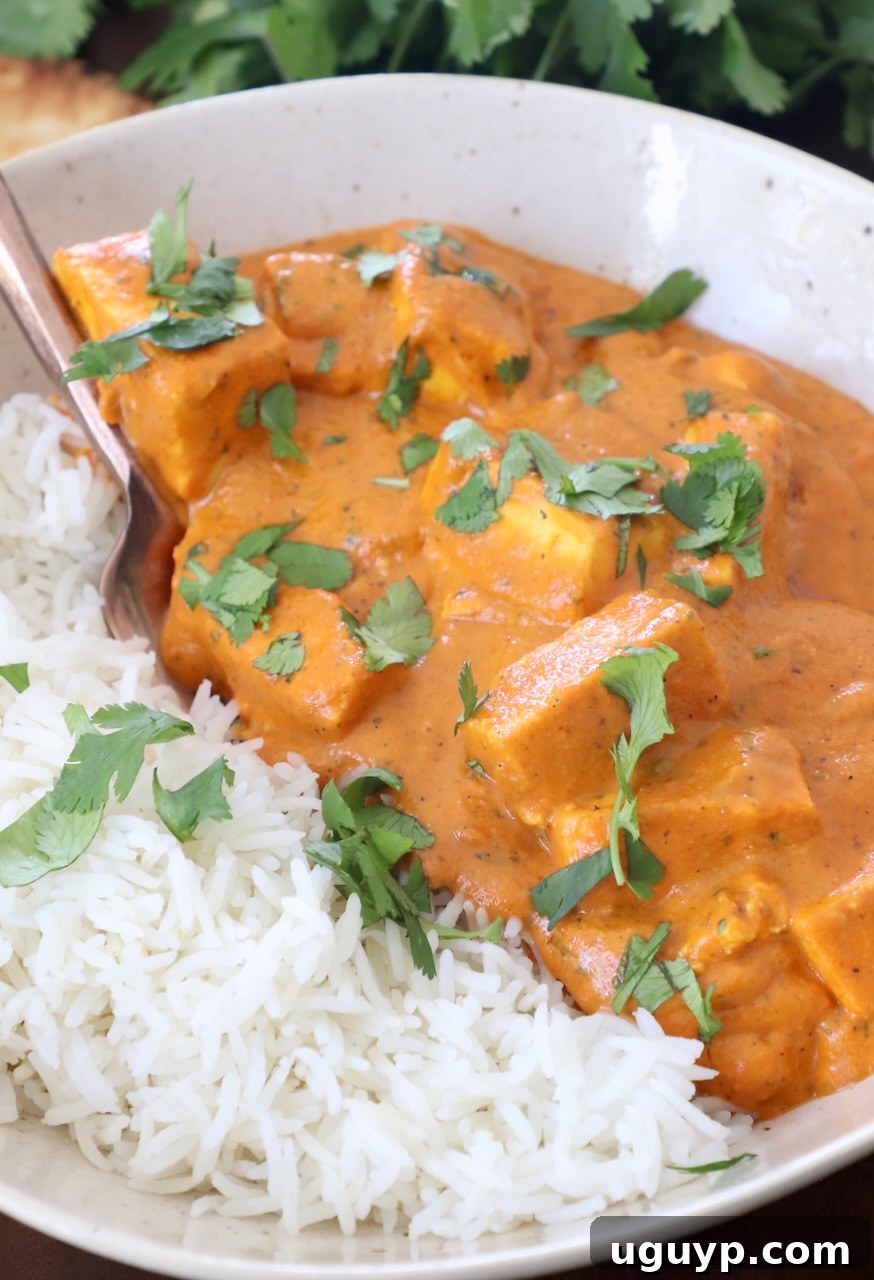 A beautifully presented bowl of butter paneer served alongside fluffy basmati rice, garnished with fresh cilantro, ready to be enjoyed.