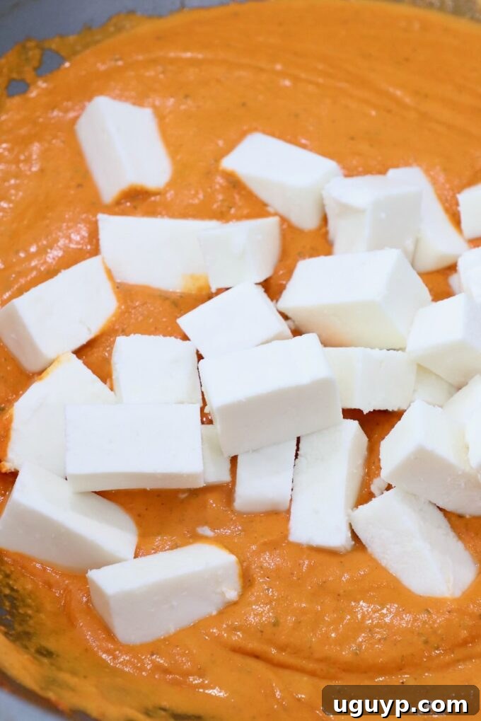 Cubed paneer cheese gently folded into the rich, simmering curry sauce in a large pan, absorbing all the flavors.