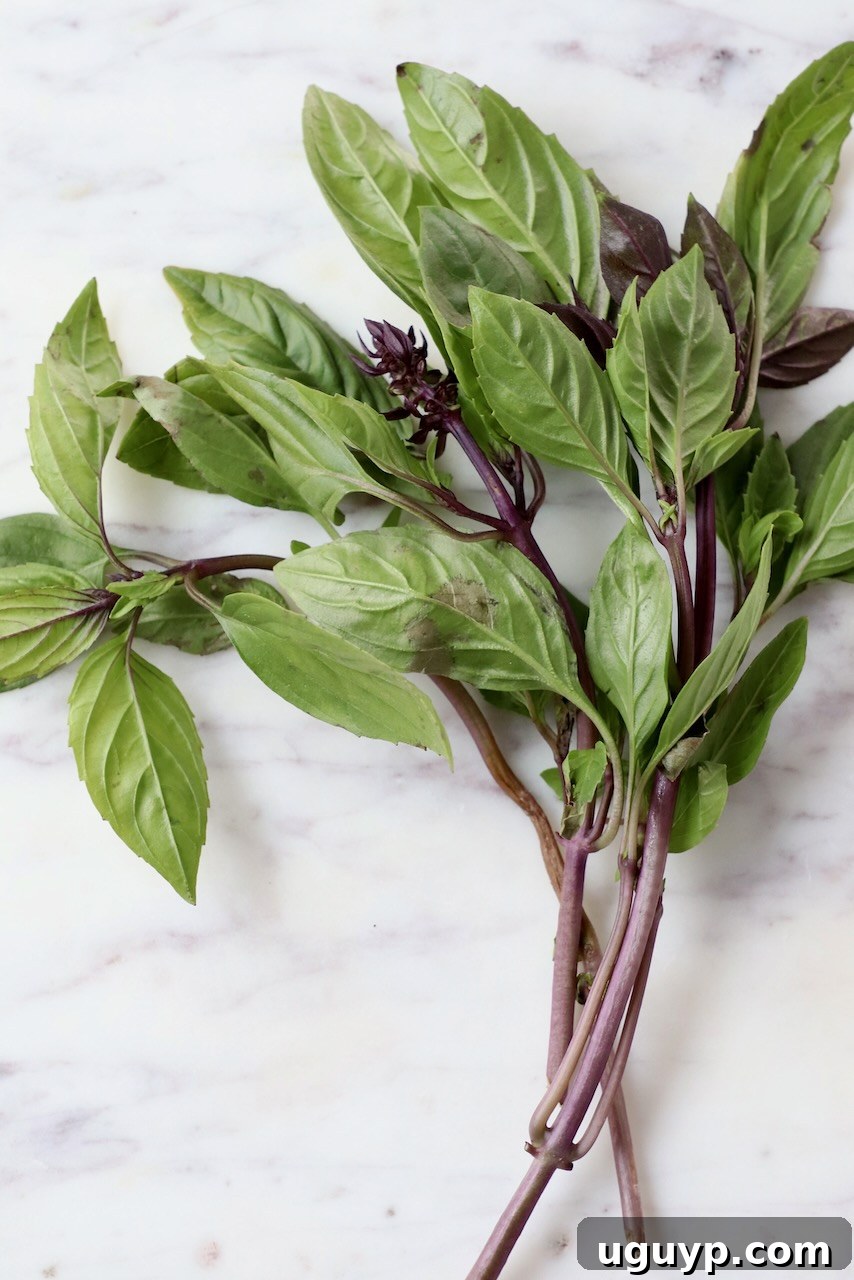thai basil leaves on marble tray