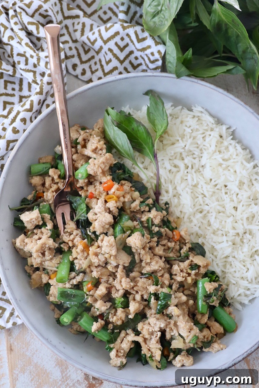 Prepared Thai Basil Chicken (Pad Krapow Gai) in a bowl with cooked white jasmine rice and fresh Thai basil leaves, ready to be served for a quick and flavorful meal.
