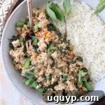 Cooked ground chicken with Thai basil and green beans in a bowl with cooked white rice, ready to be served.