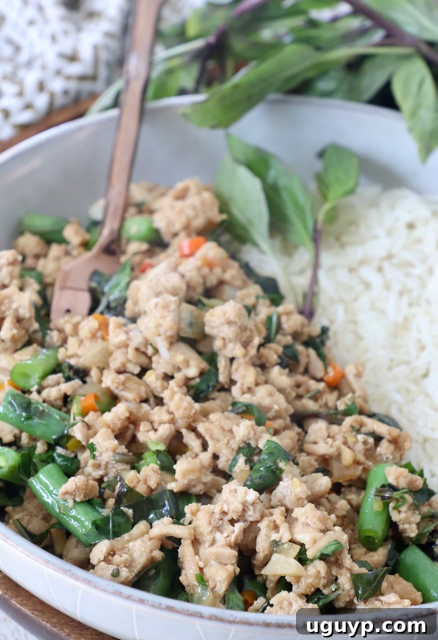 Cooked Thai Basil Chicken (Pad Krapow Gai) served in a bowl with white rice, garnished with fresh basil, showcasing a complete and inviting meal.