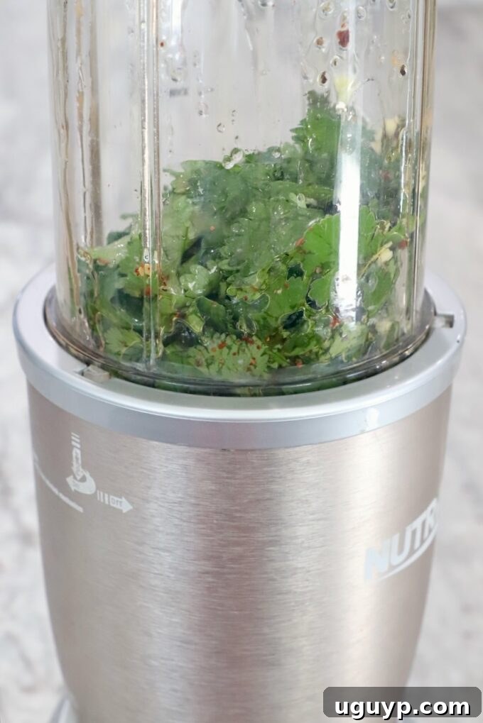 cilantro in blender