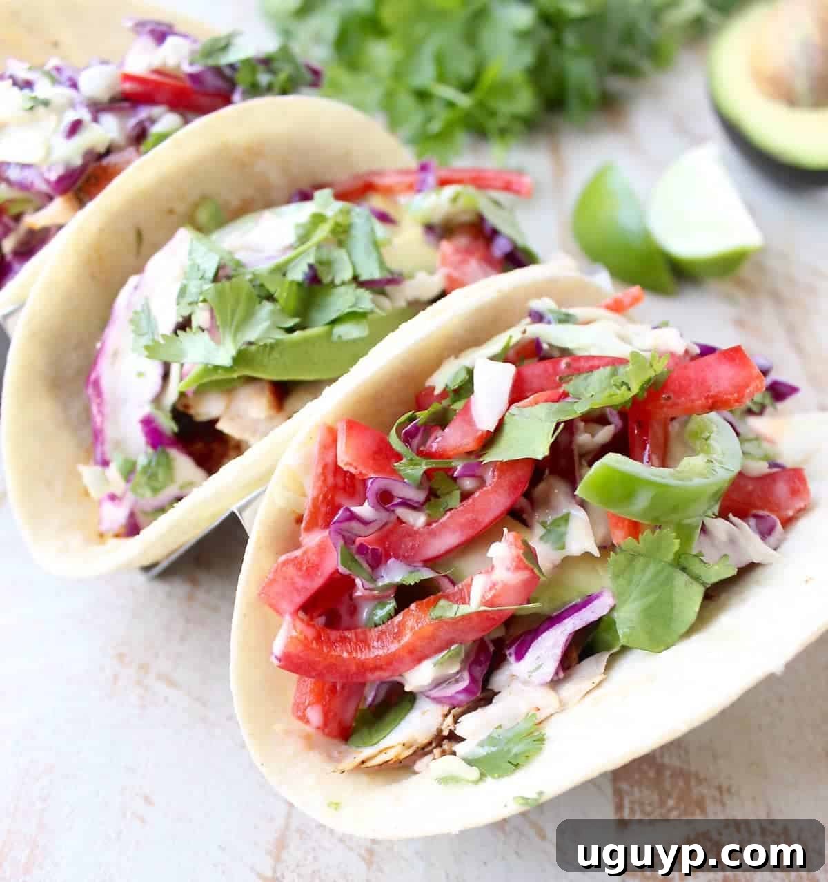 Blackened mahi mahi is pan seared & served in warm tortillas topped with crisp, fresh cilantro jalapeno coleslaw in this Mahi Mahi Fish Tacos recipe!