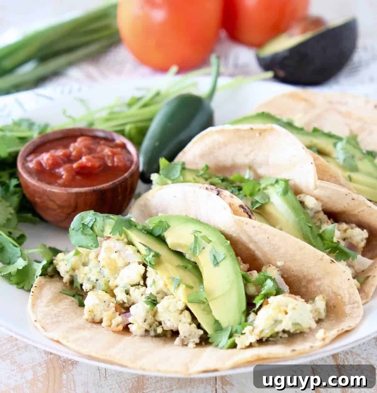 Breakfast egg tacos on corn tortillas with sliced avocado and cilantro