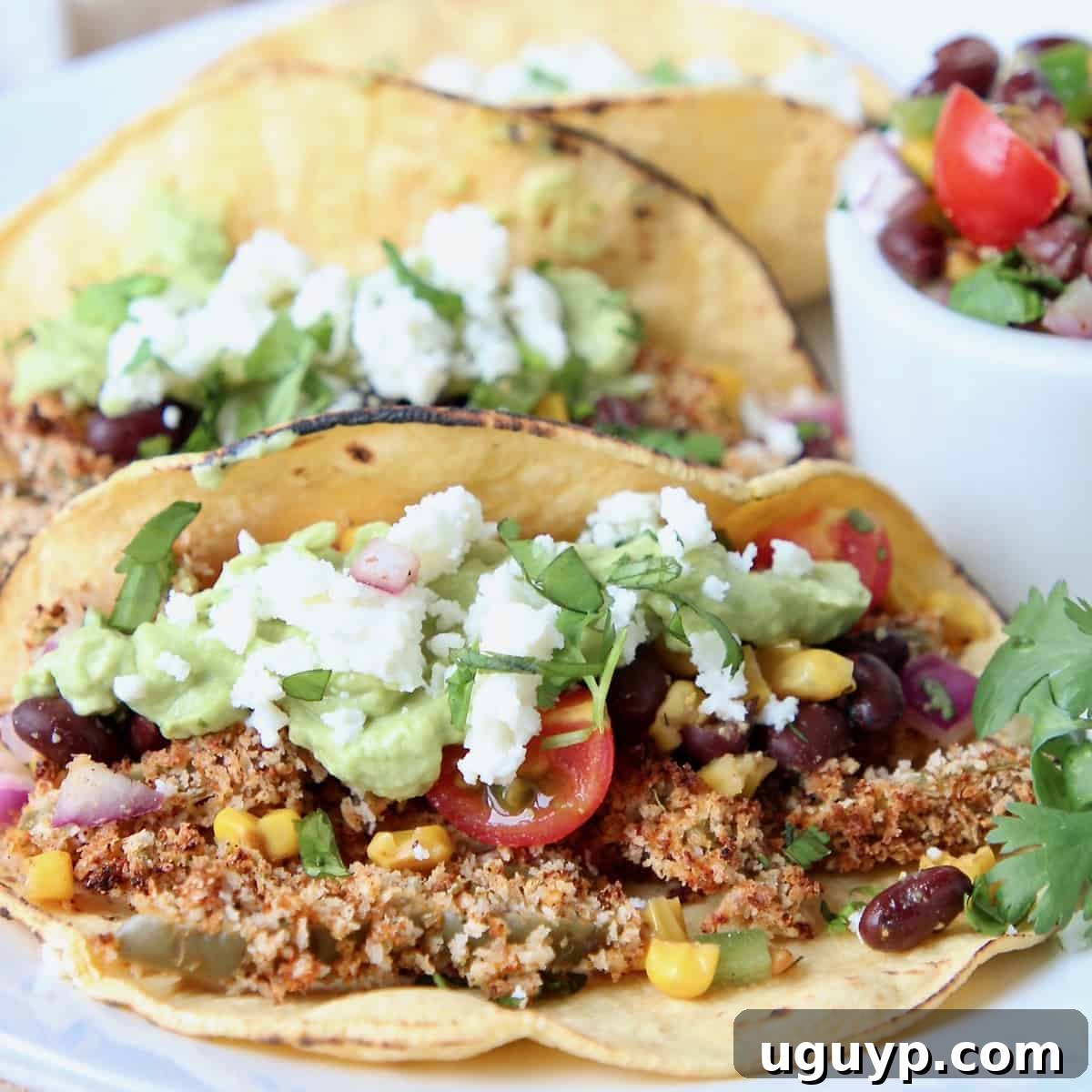 Tacos on plate with crispy cactus strips, avocado sauce and tomato salsa