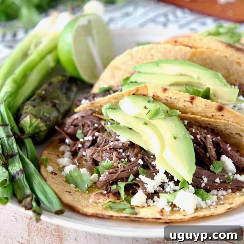 Slow Cooker Shredded Beef Barbacoa Tacos with Avocado, Cotija Cheese and Cilantro