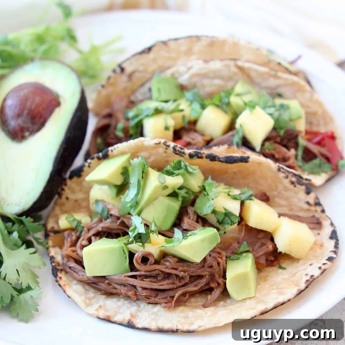 Shredded beef tacos in corn tortillas on plate with avocado and cilantro