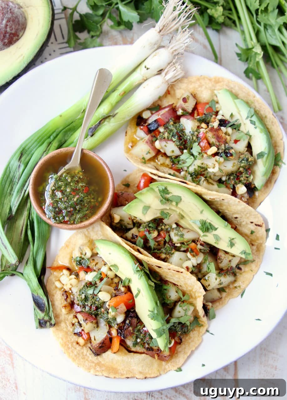 Vegan Tacos filled with Grilled Vegetables, Chimichurri Sauce and Fresh Avocado Slices