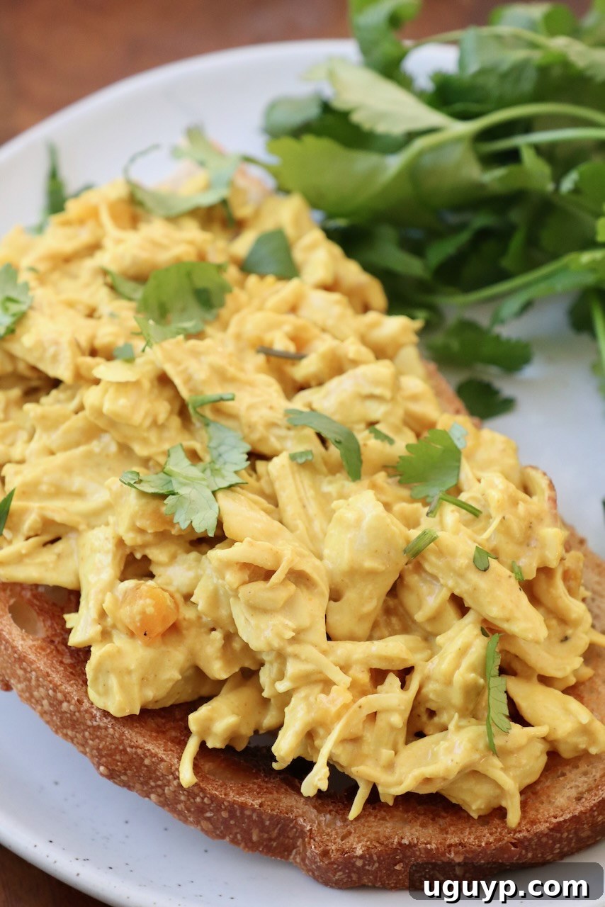 coronation chicken on toast, on white plate with cilantro