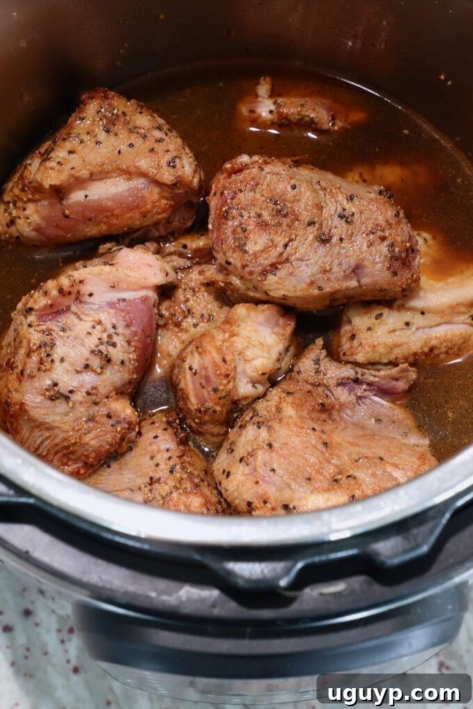 Seasoned pork in Instant Pot covered in beef broth and apple juice