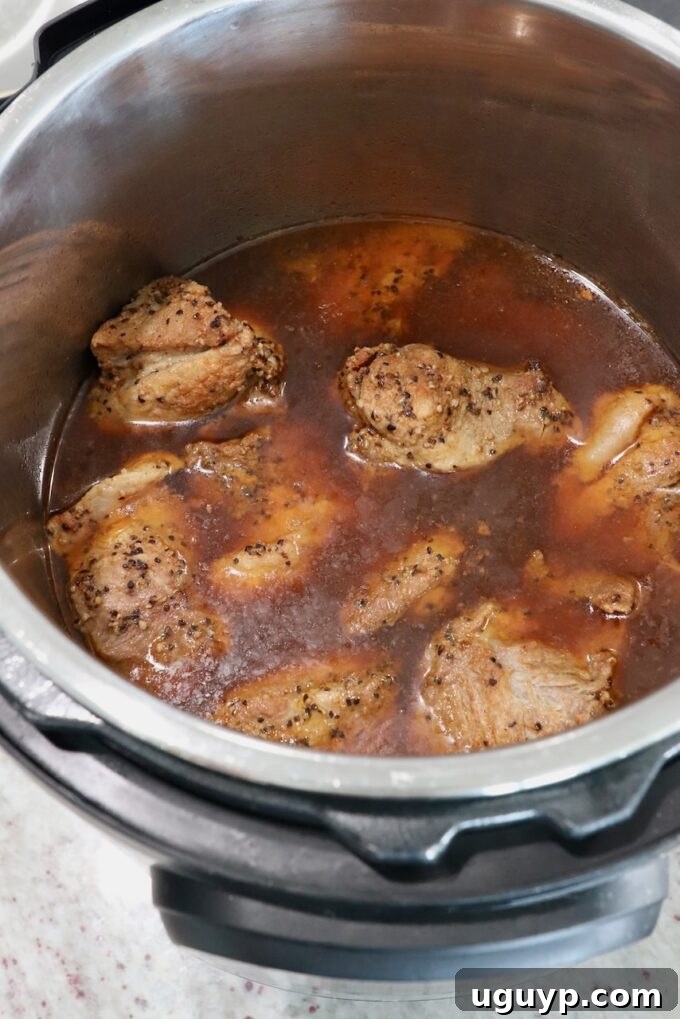 Cooked pieces of pork shoulder in Instant Pot with remaining liquid