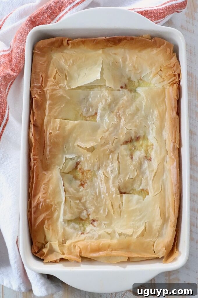 Baked Greek zucchini pie with a golden-brown, crispy phyllo crust, just removed from the oven and resting in its baking dish.