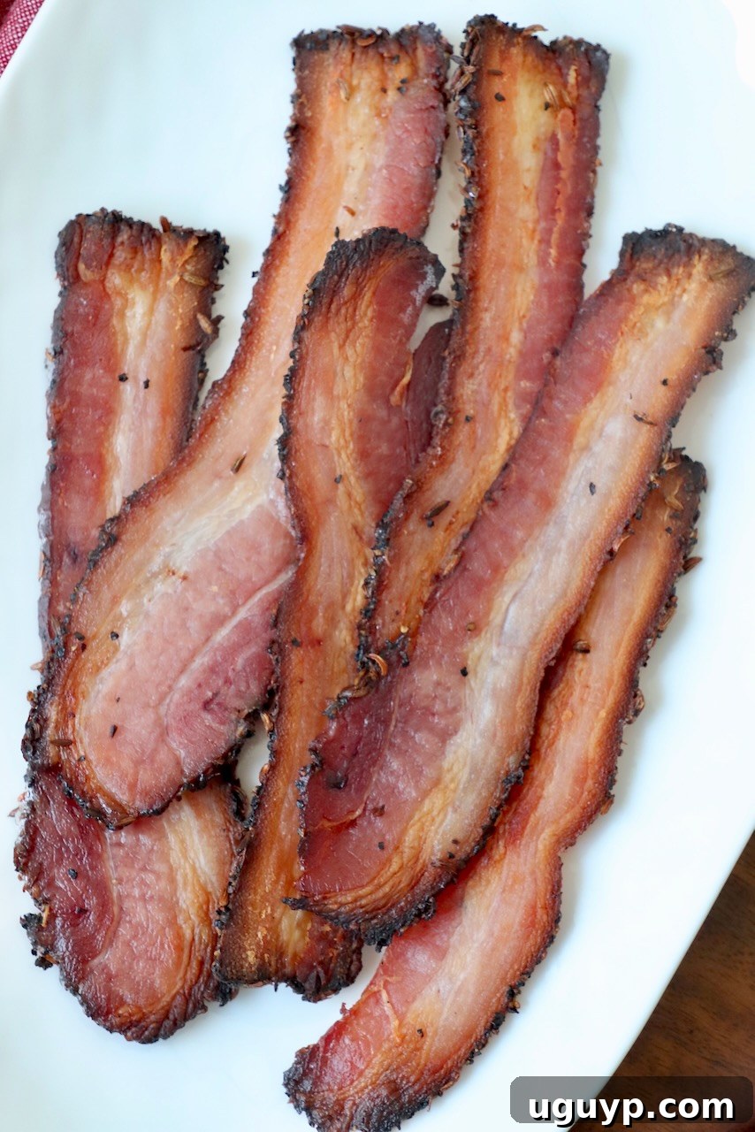 Perfectly cooked slices of homemade bacon arranged beautifully on a white plate.