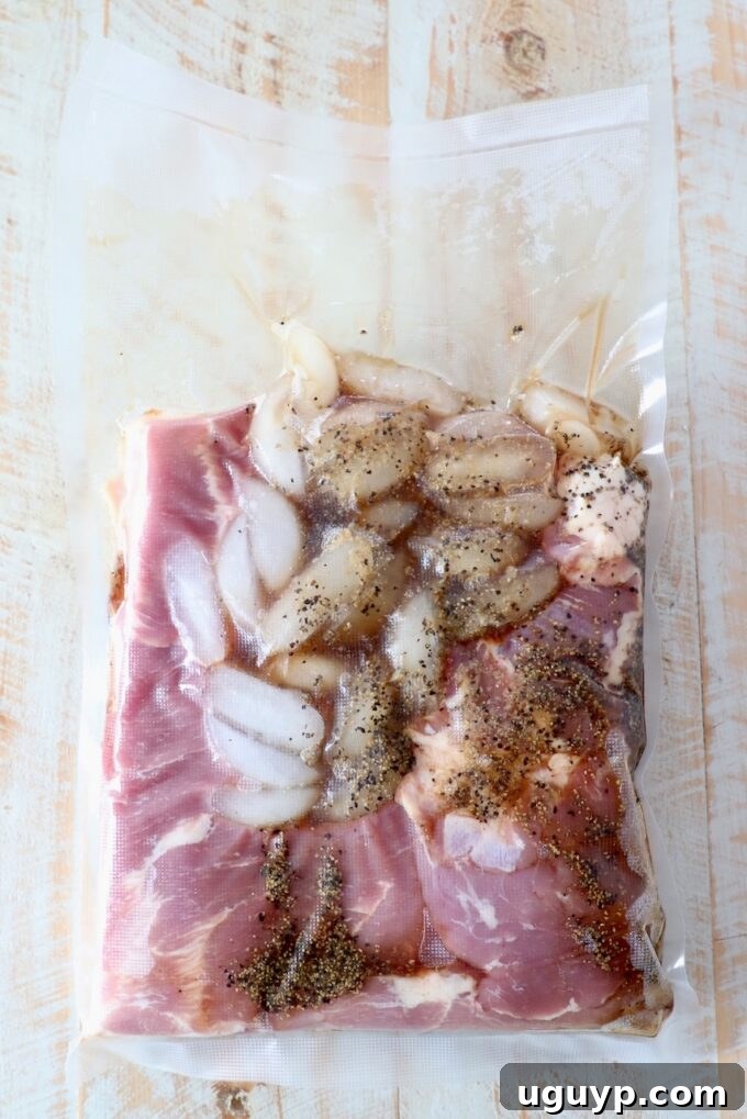 Vacuum-sealed seasoned pork belly, with ice cubes, curing in a bag for optimal flavor distribution.