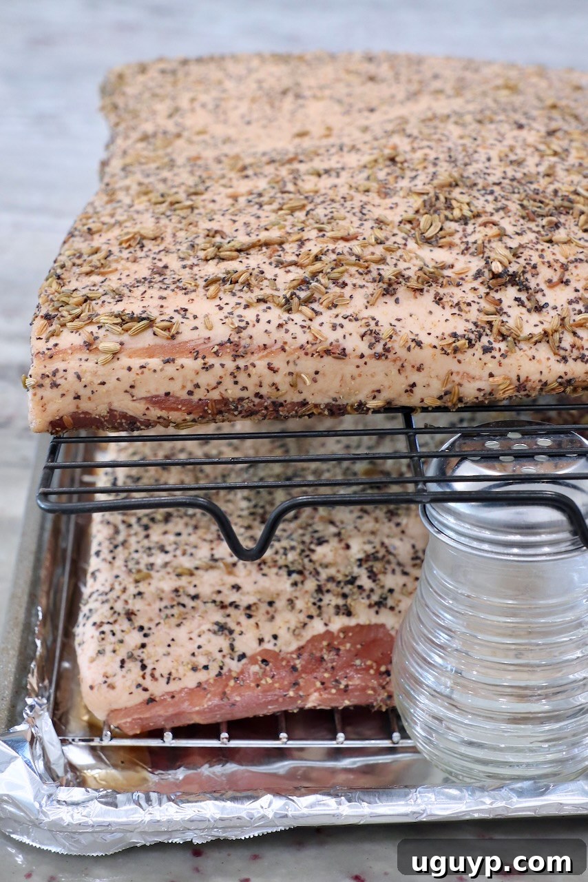 Seasoned pork belly resting on a wire rack over a foil-lined baking sheet, air-drying in the refrigerator.