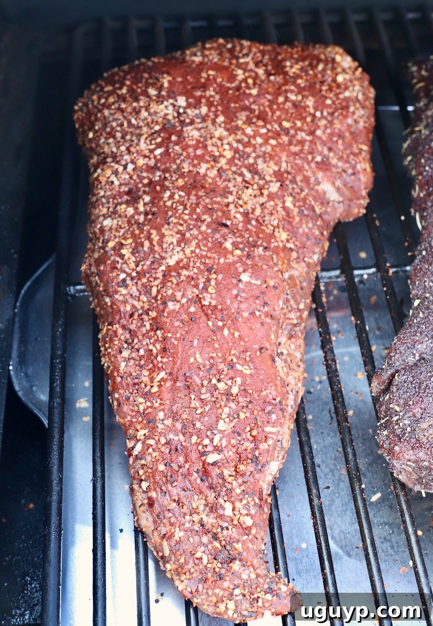 Seasoned uncooked tri tip roast placed directly on the grill grates of a preheated smoker.