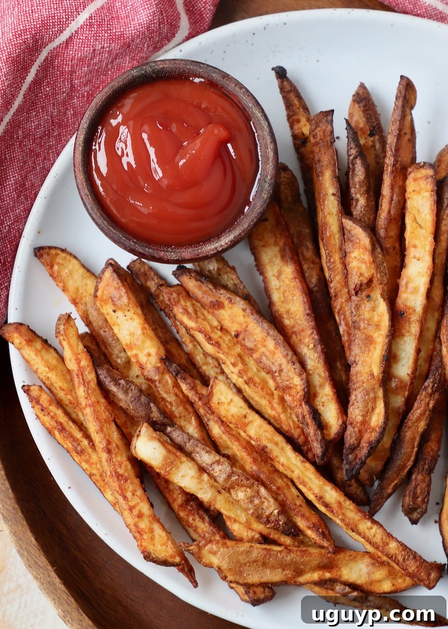 seasoned cooked french fries on plate with a small bowl of ketchup